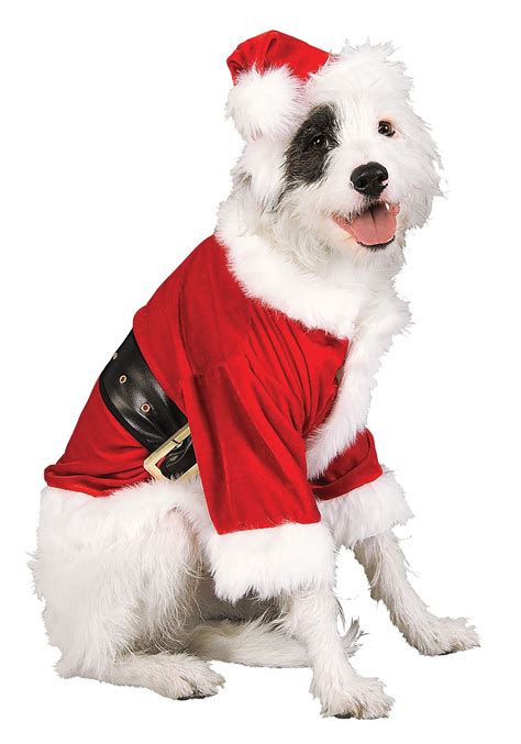 christmas dog outfits for large dogs|large dog dress.